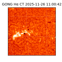 gong - 2025-11-26T11:00:42