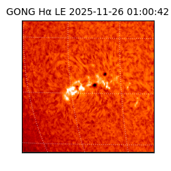 gong - 2025-11-26T01:00:42