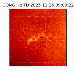 gong - 2025-11-26T09:00:22