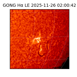 gong - 2025-11-26T02:00:42