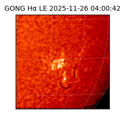 gong - 2025-11-26T04:00:42