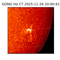 gong - 2025-11-26T20:00:42