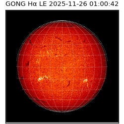 gong - 2025-11-26T01:00:42