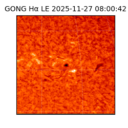 gong - 2025-11-27T08:00:42