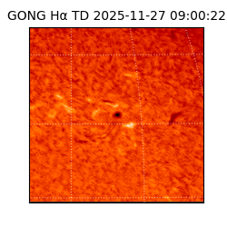 gong - 2025-11-27T09:00:22