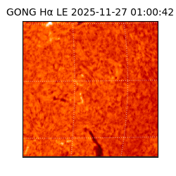 gong - 2025-11-27T01:00:42