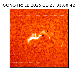 gong - 2025-11-27T01:00:42