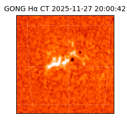 gong - 2025-11-27T20:00:42