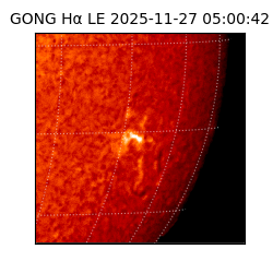 gong - 2025-11-27T05:00:42