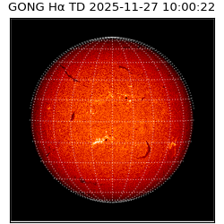gong - 2025-11-27T10:00:22