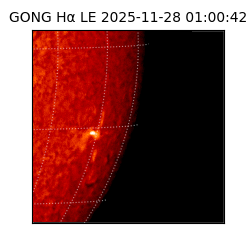 gong - 2025-11-28T01:00:42