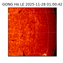 gong - 2025-11-28T01:00:42