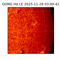 gong - 2025-11-28T03:00:42