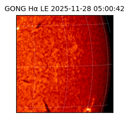 gong - 2025-11-28T05:00:42