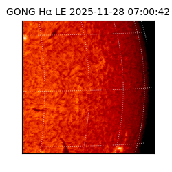 gong - 2025-11-28T07:00:42