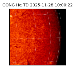 gong - 2025-11-28T10:00:22