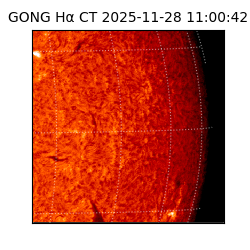 gong - 2025-11-28T11:00:42