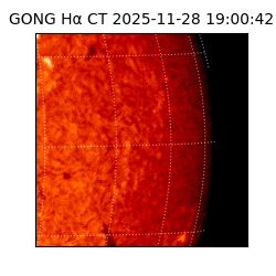 gong - 2025-11-28T19:00:42