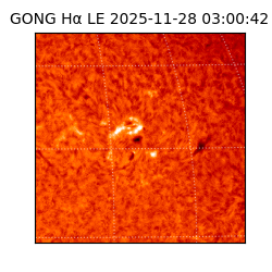 gong - 2025-11-28T03:00:42