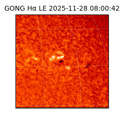 gong - 2025-11-28T08:00:42