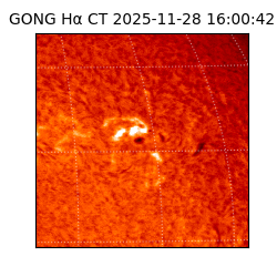 gong - 2025-11-28T16:00:42