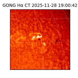 gong - 2025-11-28T19:00:42