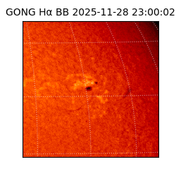 gong - 2025-11-28T23:00:02