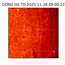 gong - 2025-11-28T09:00:22