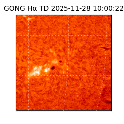 gong - 2025-11-28T10:00:22