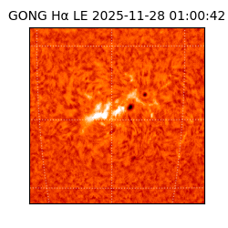 gong - 2025-11-28T01:00:42