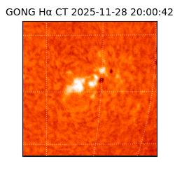 gong - 2025-11-28T20:00:42