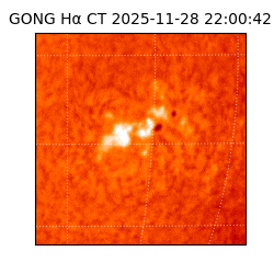 gong - 2025-11-28T22:00:42