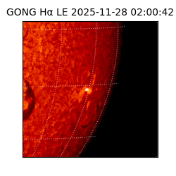 gong - 2025-11-28T02:00:42