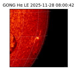 gong - 2025-11-28T08:00:42