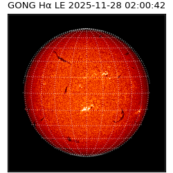gong - 2025-11-28T02:00:42