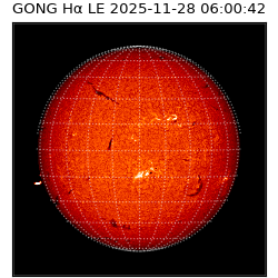 gong - 2025-11-28T06:00:42
