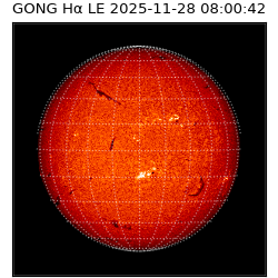 gong - 2025-11-28T08:00:42