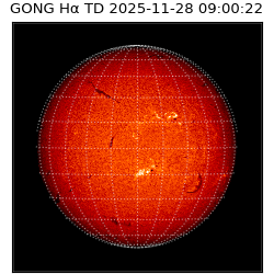 gong - 2025-11-28T09:00:22