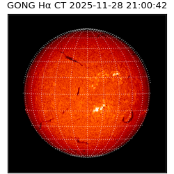 gong - 2025-11-28T21:00:42