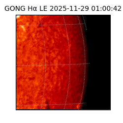 gong - 2025-11-29T01:00:42