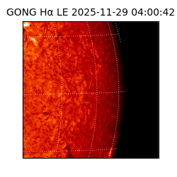 gong - 2025-11-29T04:00:42