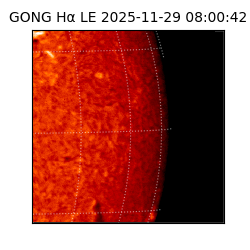 gong - 2025-11-29T08:00:42