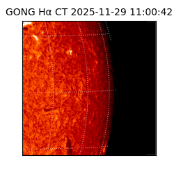 gong - 2025-11-29T11:00:42