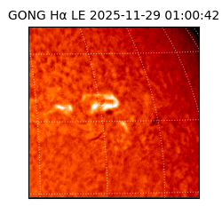 gong - 2025-11-29T01:00:42