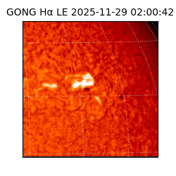 gong - 2025-11-29T02:00:42