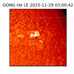 gong - 2025-11-29T03:00:42