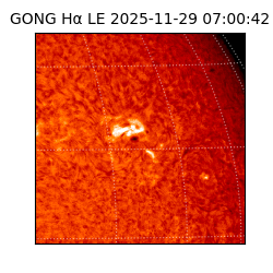 gong - 2025-11-29T07:00:42