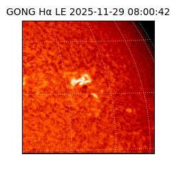 gong - 2025-11-29T08:00:42