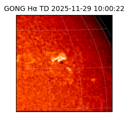 gong - 2025-11-29T10:00:22