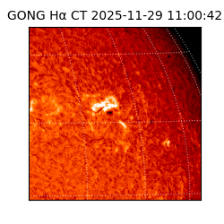 gong - 2025-11-29T11:00:42